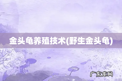 野生金头龟 金头龟养殖技术