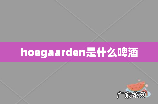 hoegaarden是什么啤酒