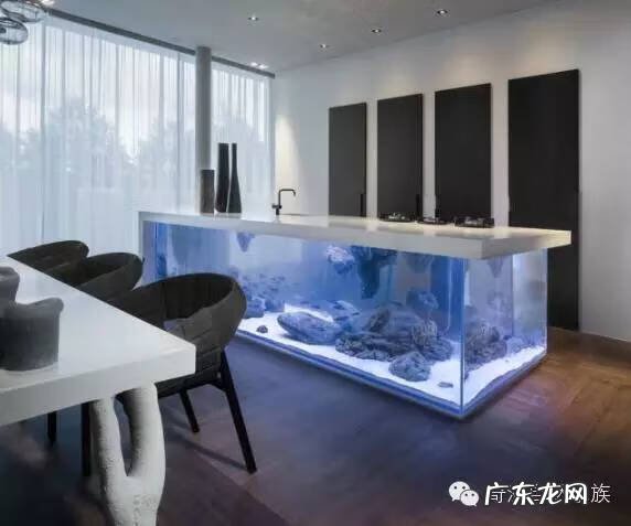 陶瓷大缸摆放风水位置 小鱼缸风水