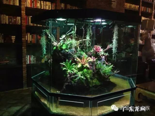 陶瓷大缸摆放风水位置 小鱼缸风水