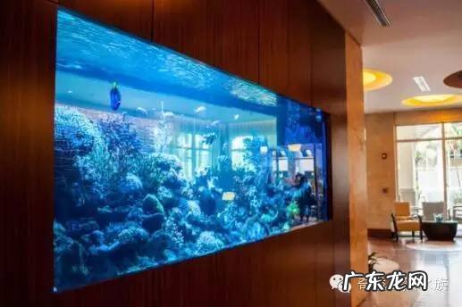 陶瓷大缸摆放风水位置 小鱼缸风水