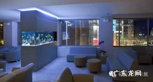 陶瓷大缸摆放风水位置 小鱼缸风水