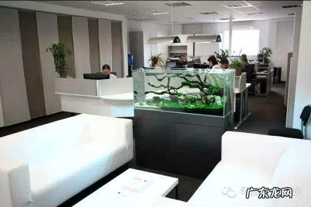 陶瓷大缸摆放风水位置 小鱼缸风水