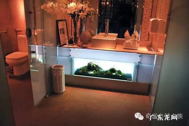 陶瓷大缸摆放风水位置 小鱼缸风水