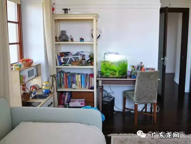 陶瓷大缸摆放风水位置 小鱼缸风水