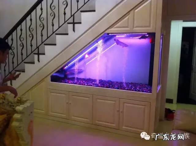 陶瓷大缸摆放风水位置 小鱼缸风水