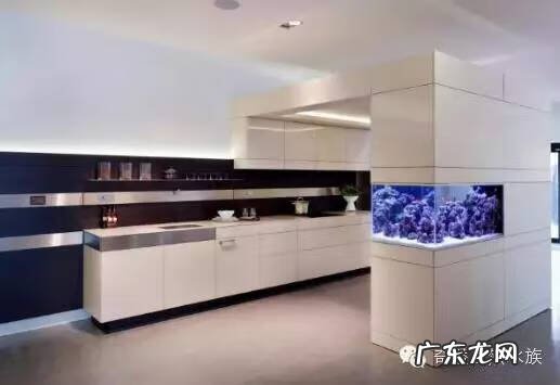 陶瓷大缸摆放风水位置 小鱼缸风水