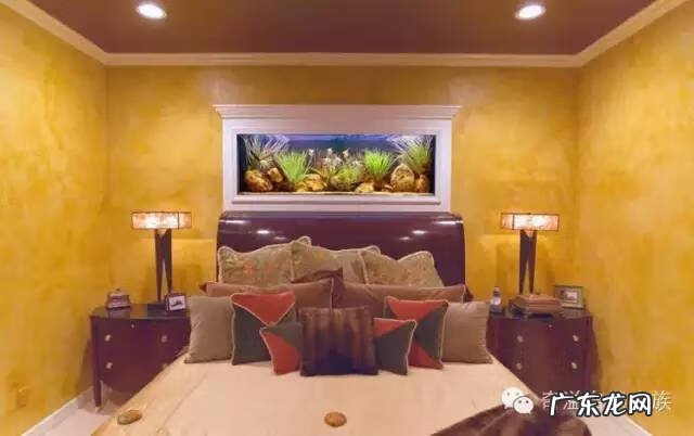 陶瓷大缸摆放风水位置 小鱼缸风水