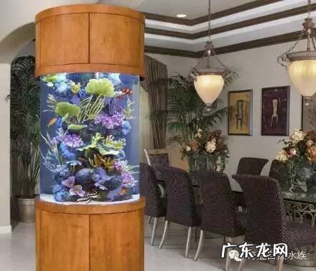 陶瓷大缸摆放风水位置 小鱼缸风水