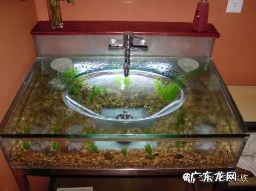 陶瓷大缸摆放风水位置 小鱼缸风水