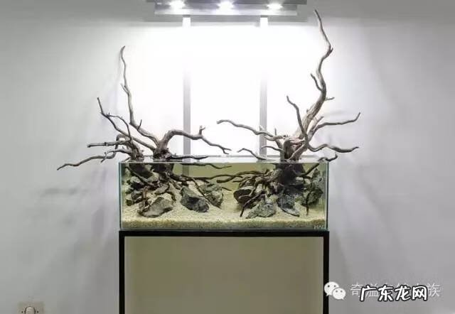 陶瓷大缸摆放风水位置 小鱼缸风水