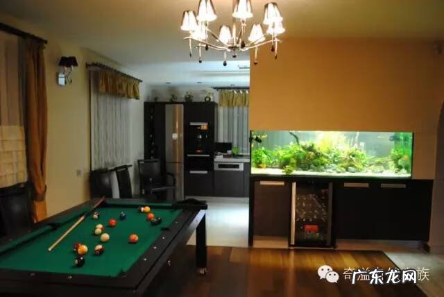 陶瓷大缸摆放风水位置 小鱼缸风水