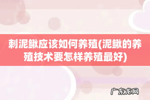 泥鳅的养殖技术要怎样养殖最好 刺泥鳅应该如何养殖