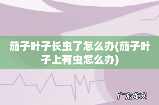 茄子叶子上有虫怎么办 茄子叶子长虫了怎么办