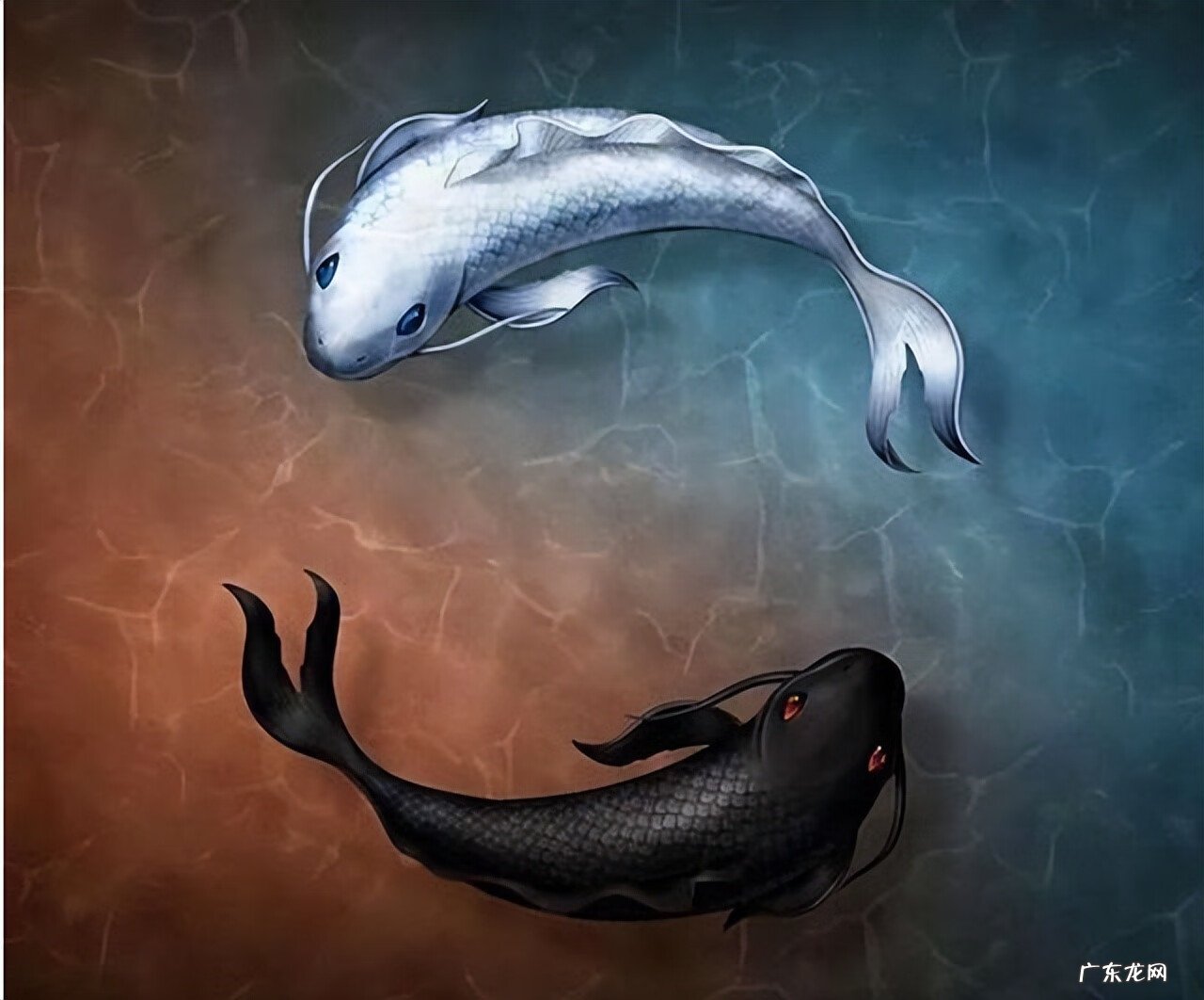 男生初一出生命好吗 男的初一生的好不好有什么说法