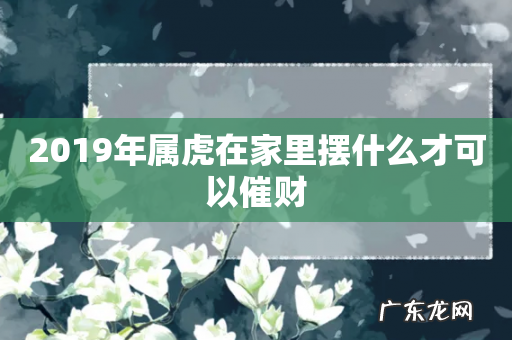 2019年属虎在家里摆什么才可以催财