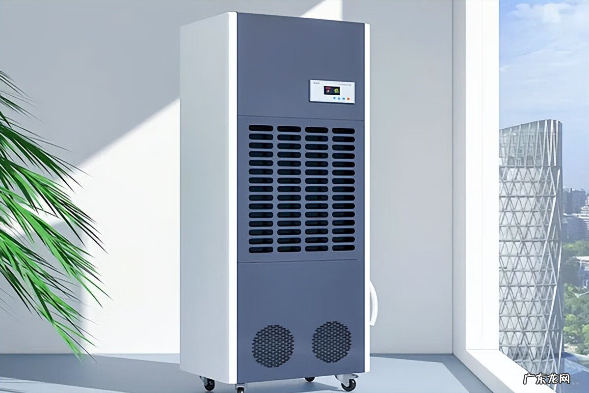 家用除湿机哪个品牌好 除湿机什么牌子好啊