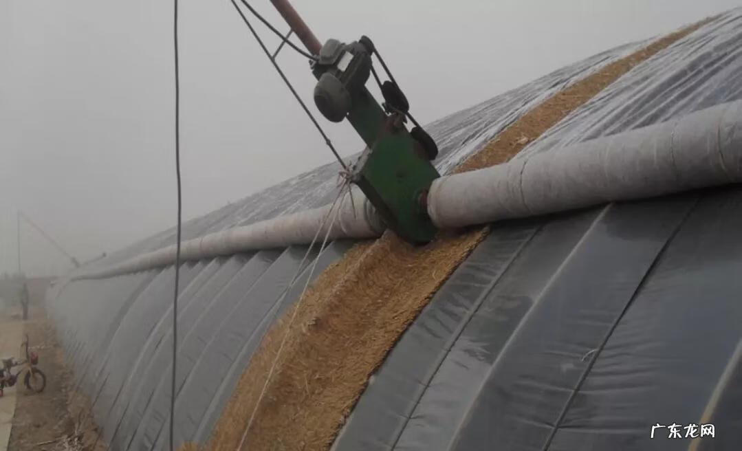 农村风水吉宅图解 新农村的房子怎么样