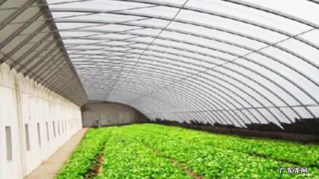 农村风水吉宅图解 新农村的房子怎么样