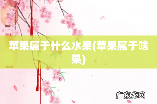 苹果属于啥果 苹果属于什么水果