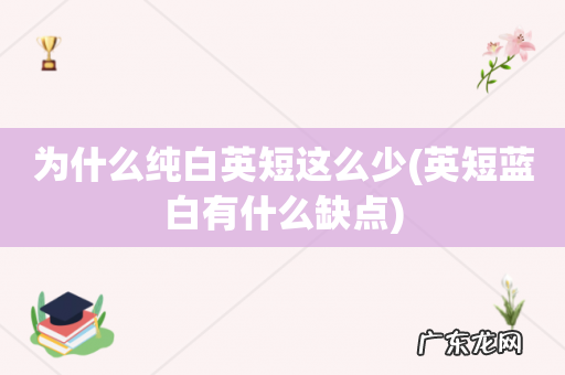 英短蓝白有什么缺点 为什么纯白英短这么少