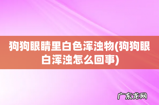 狗狗眼白浑浊怎么回事 狗狗眼睛里白色浑浊物