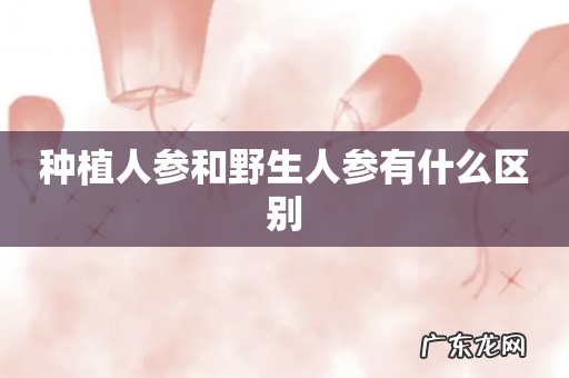 种植人参和野生人参有什么区别