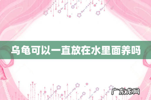 乌龟可以一直放在水里面养吗