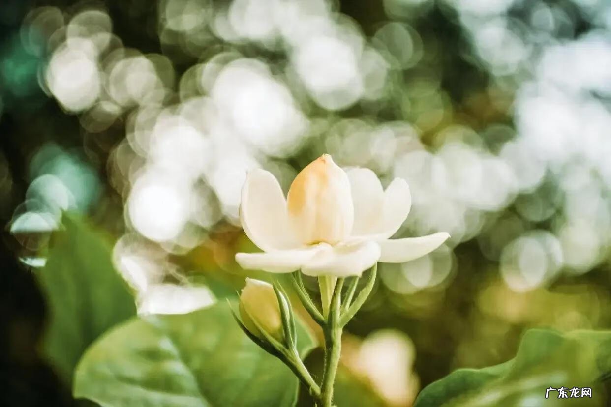 一回家就吵架是不是风水问题 宝宝说话晚的风水