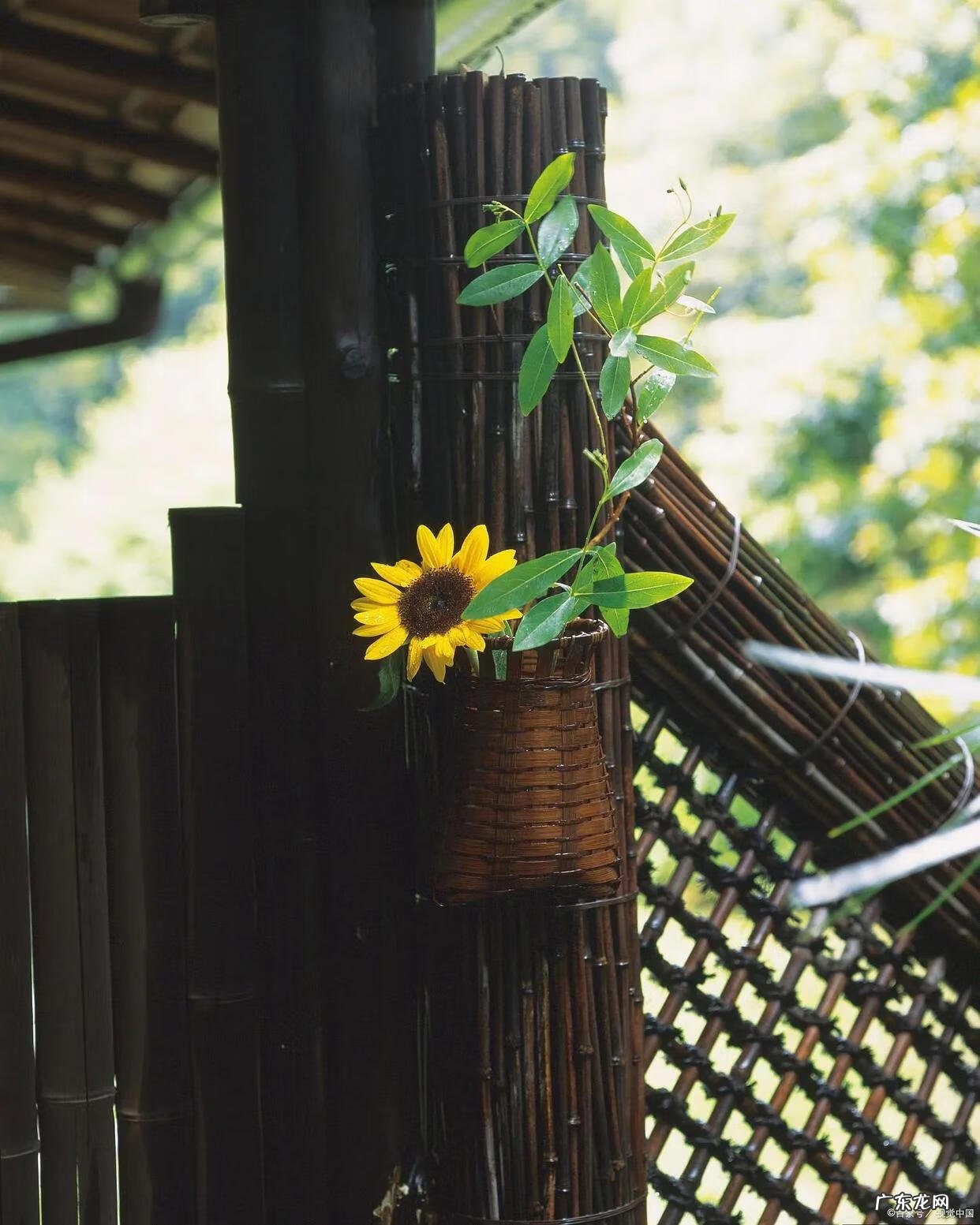 一回家就吵架是不是风水问题 宝宝说话晚的风水