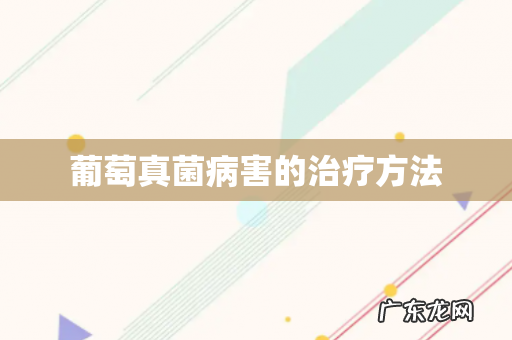 葡萄真菌病害的治疗方法