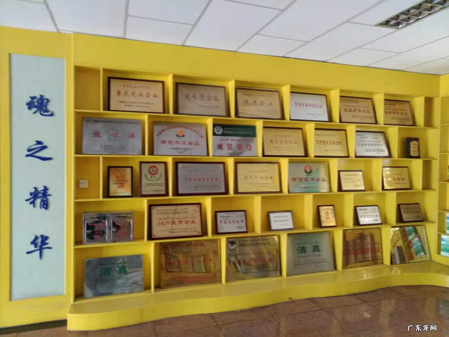 红花籽油的十大功效 红花籽油的功效与作用