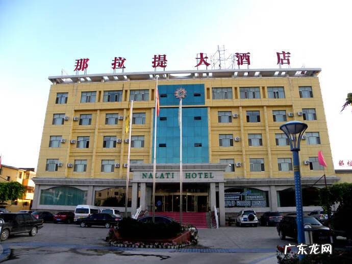 红花籽油的十大功效 红花籽油的功效与作用