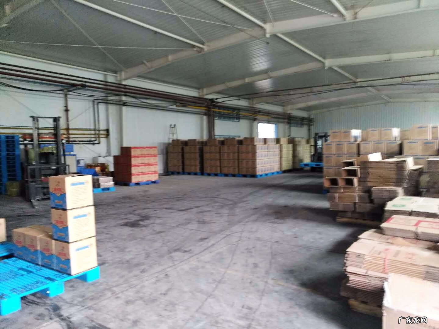 红花籽油的十大功效 红花籽油的功效与作用