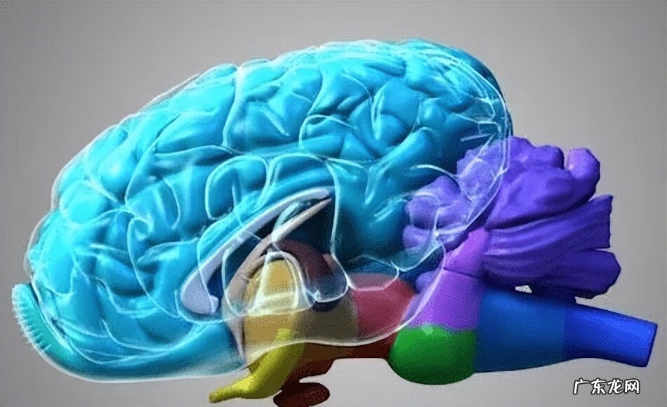 红色的马风水寓意 风水马什么颜色的好