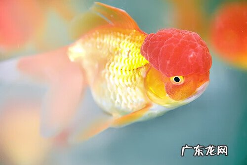 卫生间门烂了影响家里的风水 家里窗户玻璃突然裂了风水