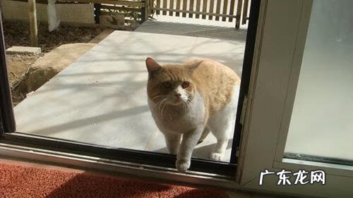 卫生间门烂了影响家里的风水 家里窗户玻璃突然裂了风水