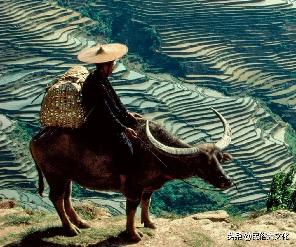 五七坟的讲究 上五七坟有什么讲究