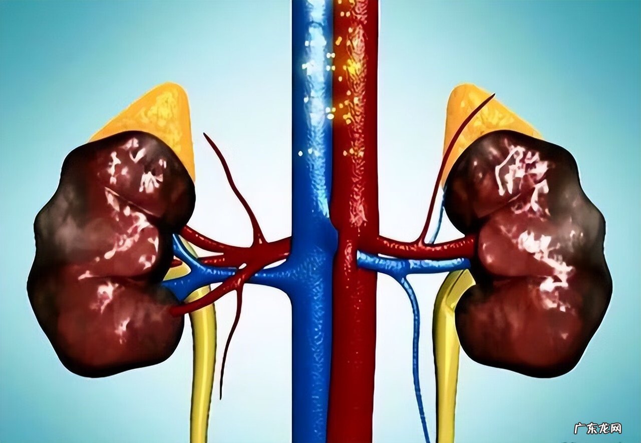 小便严重发黄是什么原因 最近小便黄是什么原因引起的