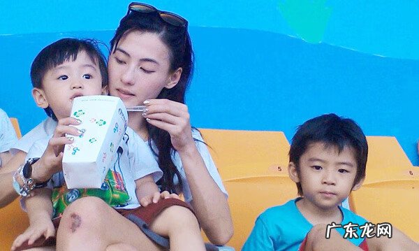 张柏芝新男友 张柏芝喜欢