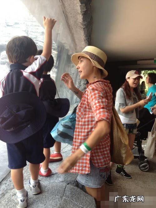 张柏芝新男友 张柏芝喜欢