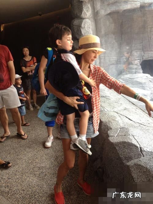 张柏芝新男友 张柏芝喜欢