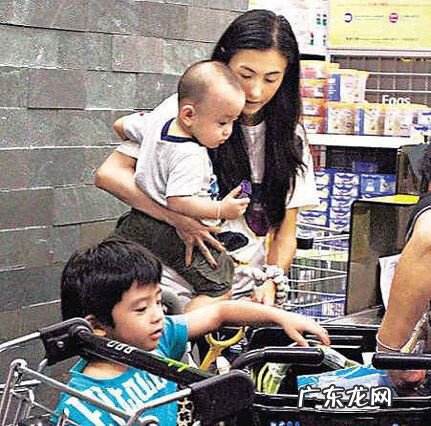 张柏芝新男友 张柏芝喜欢