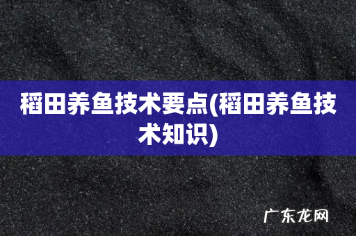 稻田养鱼技术知识 稻田养鱼技术要点