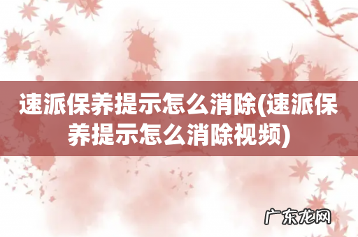 速派保养提示怎么消除视频 速派保养提示怎么消除