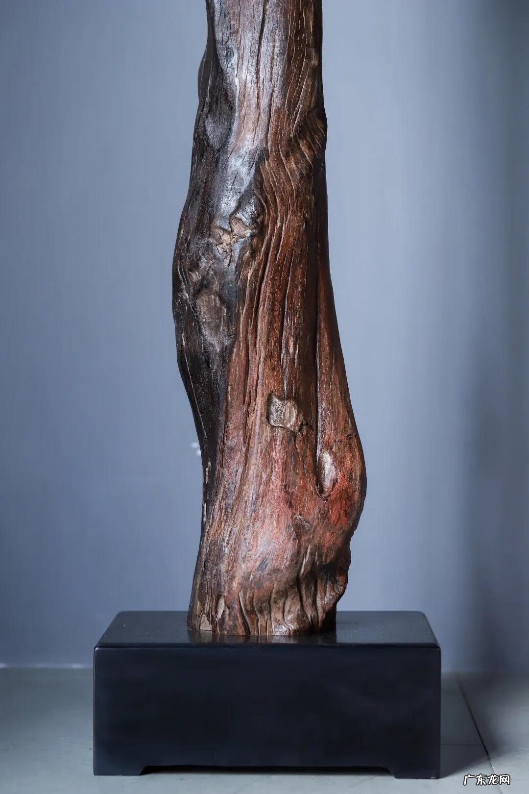 风水之盘龙形 风水里有叫什么盘龙风水