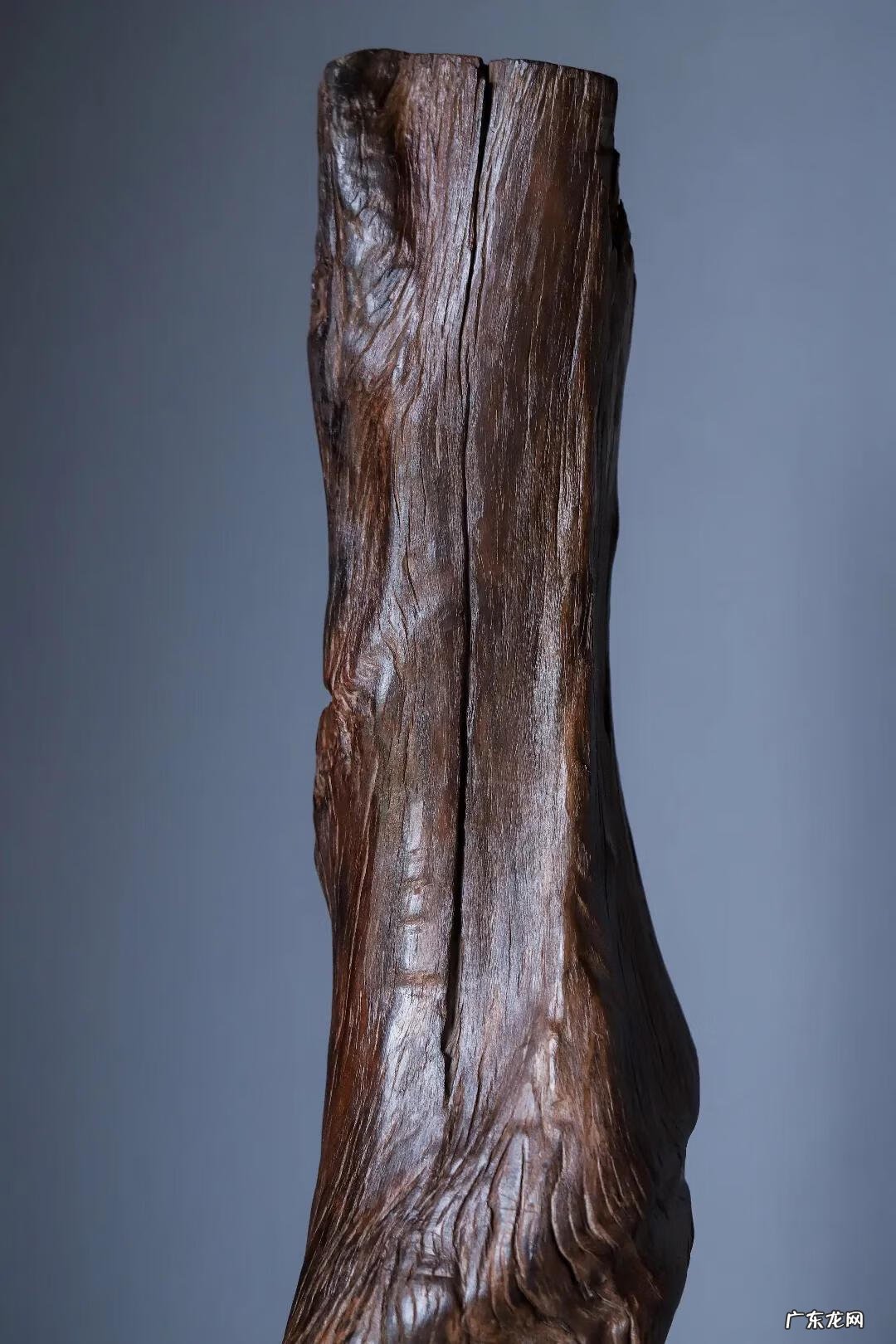 风水之盘龙形 风水里有叫什么盘龙风水