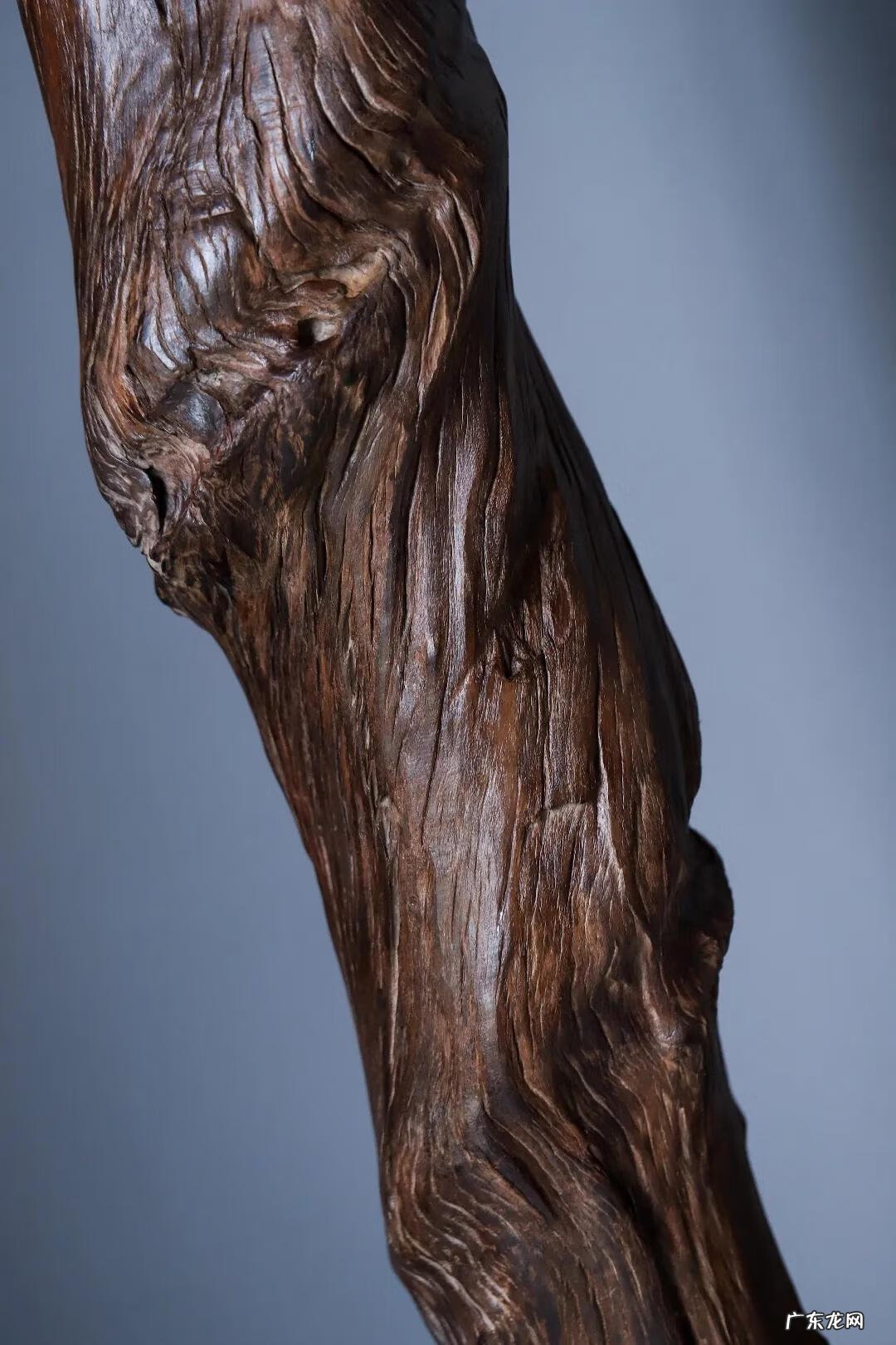 风水之盘龙形 风水里有叫什么盘龙风水