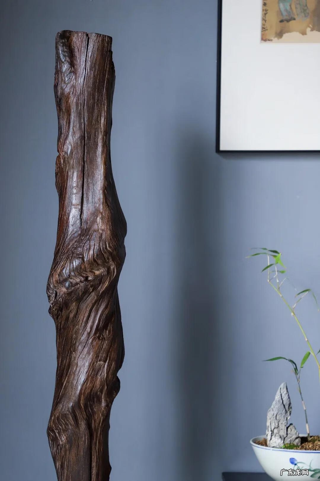 风水之盘龙形 风水里有叫什么盘龙风水