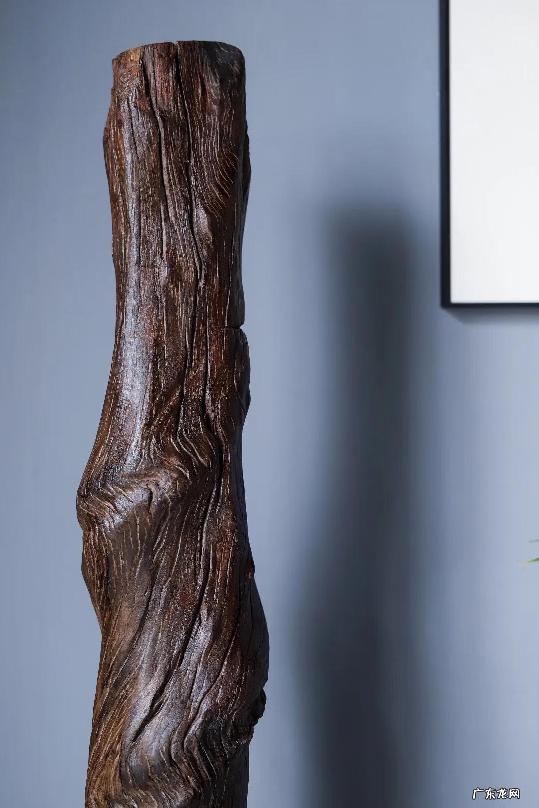 风水之盘龙形 风水里有叫什么盘龙风水